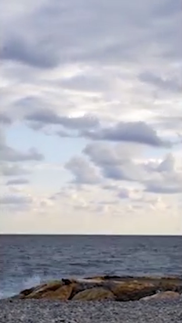 For Your Consumption Pleasure...GYULA TECH VIDEO